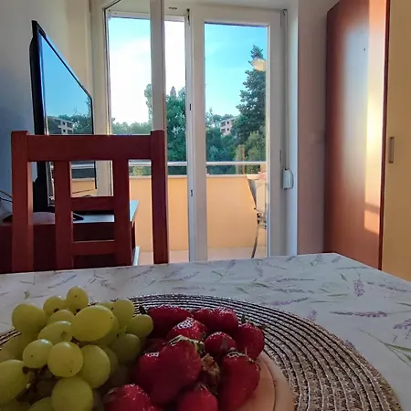 Aparthotel Penava, Private Beach, Pool And 7min To